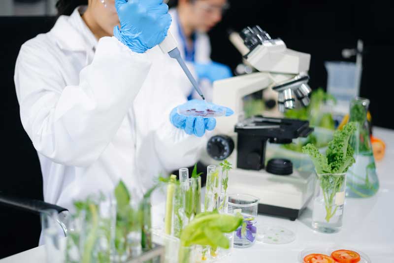 Presicion Clinical Tools Lab